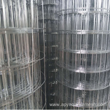 PVC Coated Welded Wire Mesh Roll